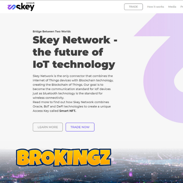 Skey Network a lancé son mainnet